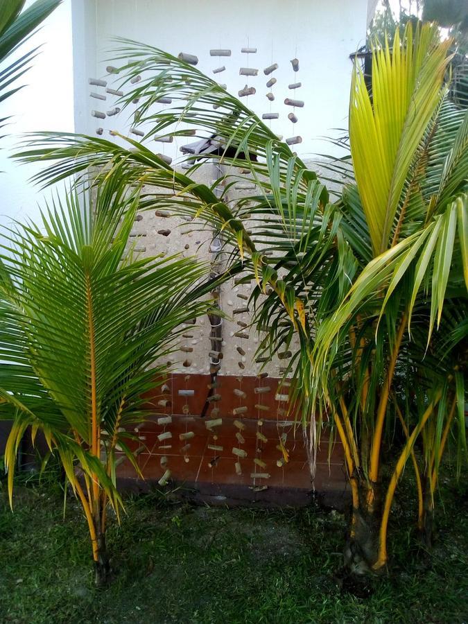 Maison Amantine Anse Royale Extérieur photo